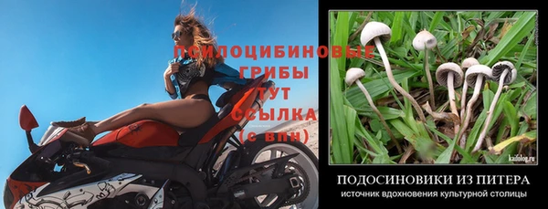 каннабис Абаза