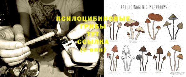 каннабис Алексеевка