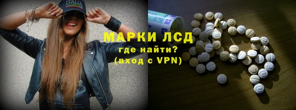 стаф Покачи